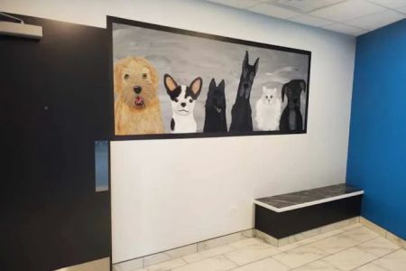 Precious Bond Animal Hospital