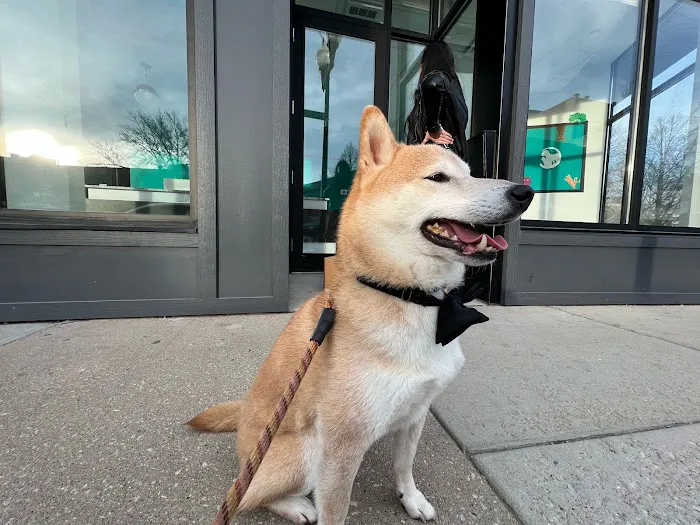 Precious Bond Animal Hospital 12