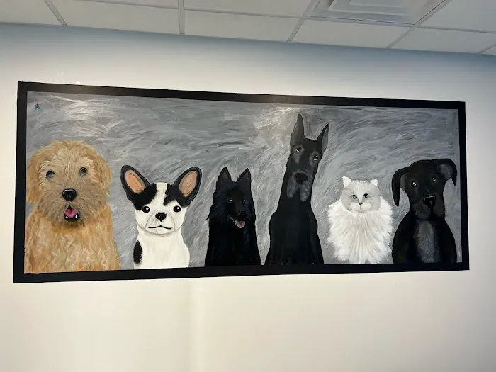 Precious Bond Animal Hospital 12