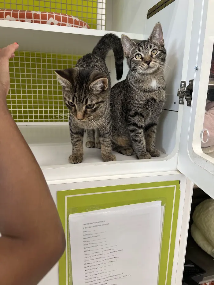 Shelter Veterinary Solutions 12