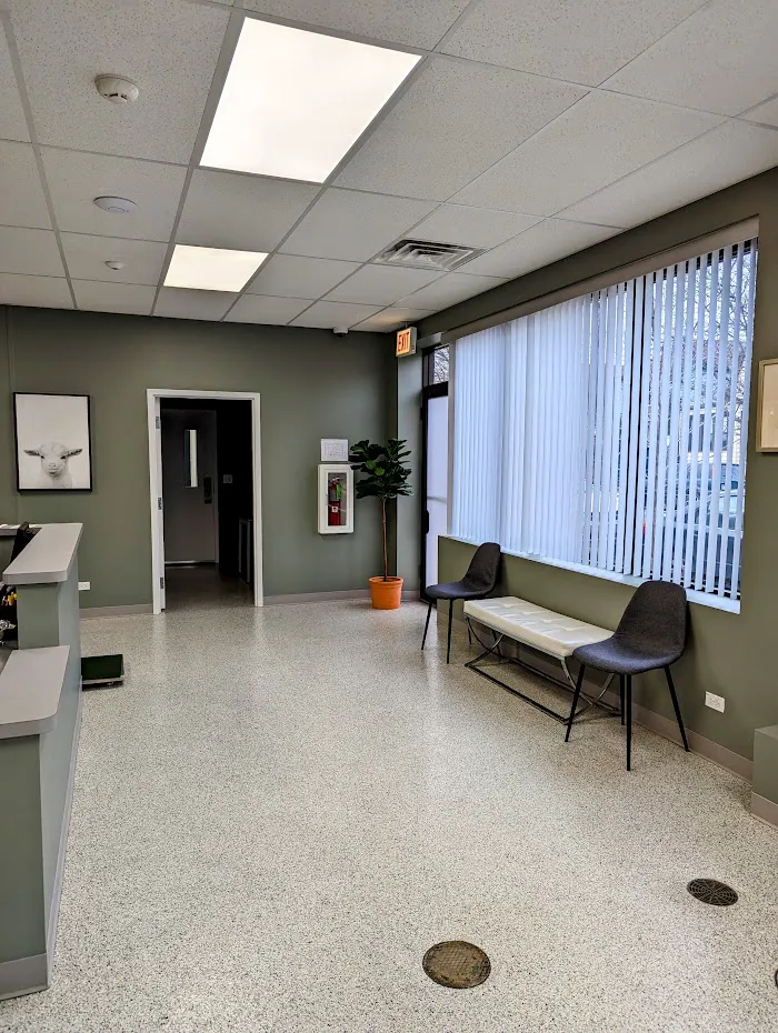 Shelter Veterinary Solutions 12