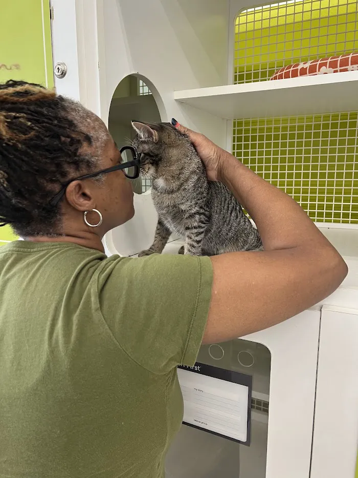 Shelter Veterinary Solutions 12