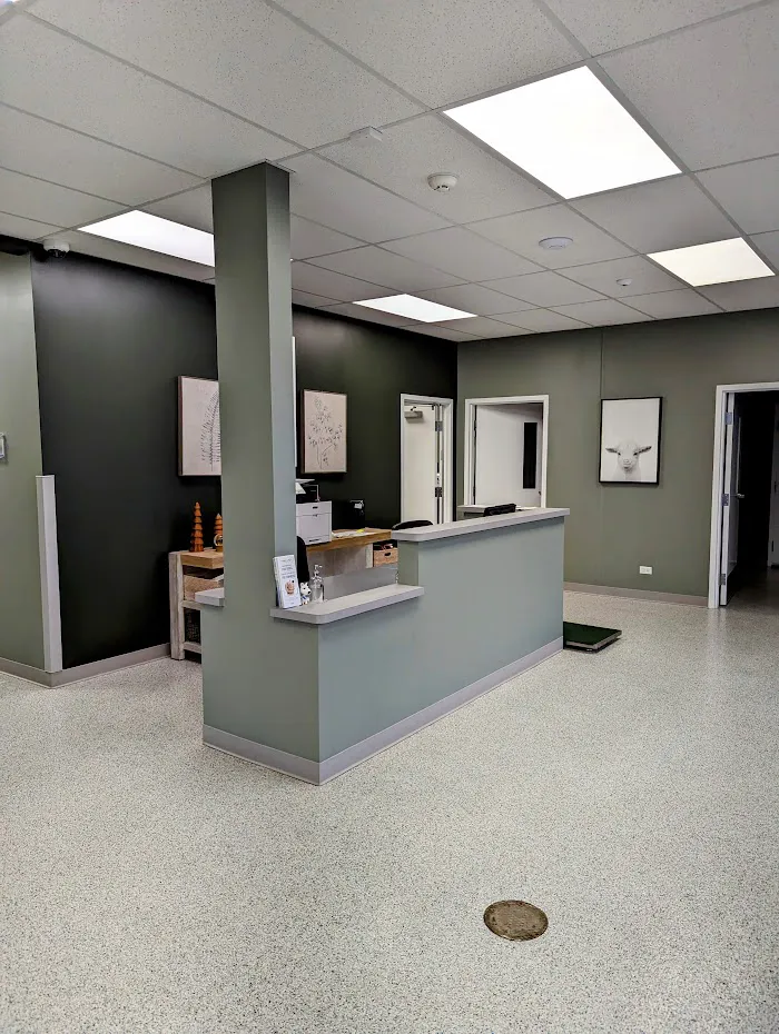 Shelter Veterinary Solutions 12