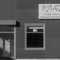 Tree House Veterinary Wellness Center ico