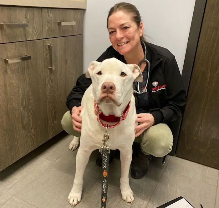 Companion Animal Hospital Wicker Park 12
