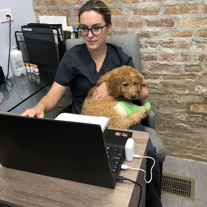 Companion Animal Hospital Wicker Park 12