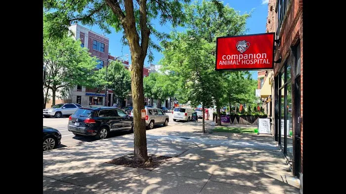 Companion Animal Hospital Wicker Park 12