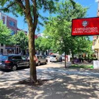 Companion Animal Hospital Wicker Park ico