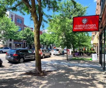 Companion Animal Hospital Wicker Park