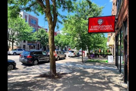 Companion Animal Hospital Wicker Park