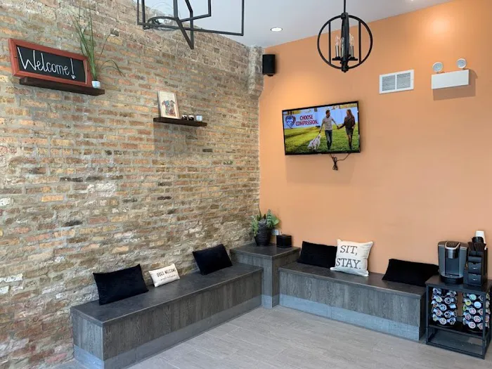 Companion Animal Hospital Wicker Park 12