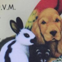 Jennifer Ivankovig, DVM ico