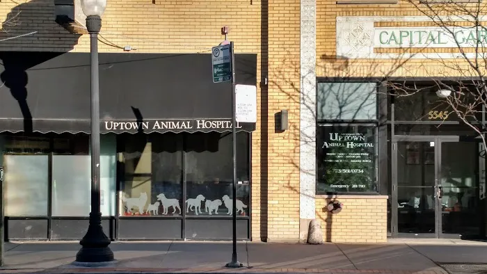 Uptown Animal Hospital: Tyler Kathryn DVM 12