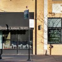 Uptown Animal Hospital: Tyler Kathryn DVM ico
