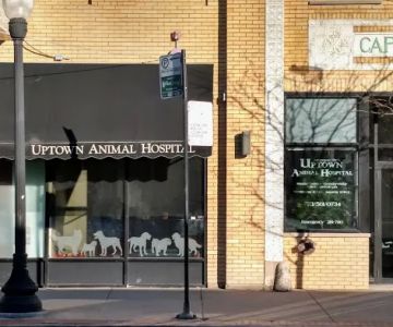 Uptown Animal Hospital: Tyler Kathryn DVM