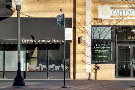 Uptown Animal Hospital: Tyler Kathryn DVM