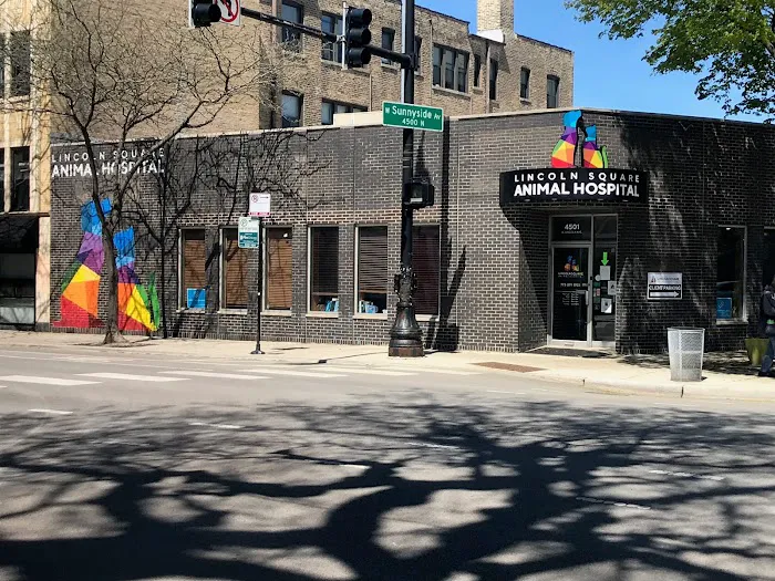 Lincoln Square Animal Hospital 1
