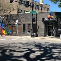 Lincoln Square Animal Hospital ico