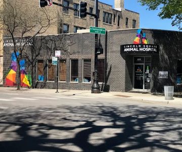 Lincoln Square Animal Hospital