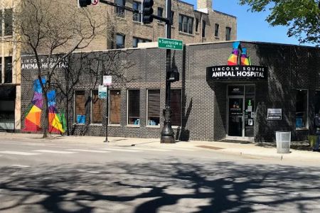 Lincoln Square Animal Hospital