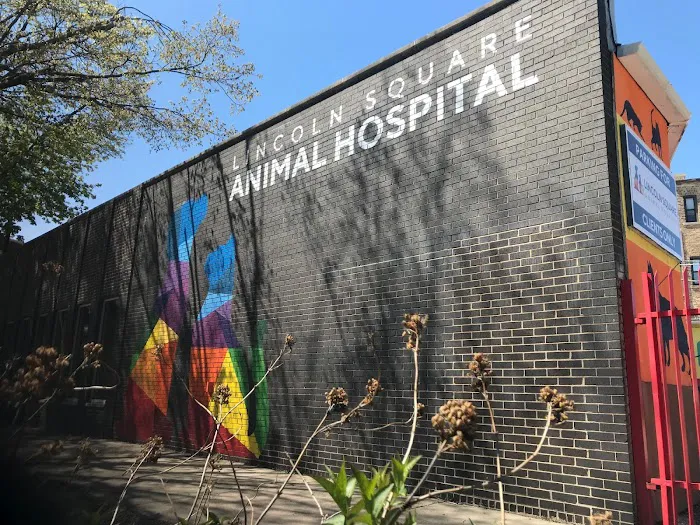 Lincoln Square Animal Hospital 4