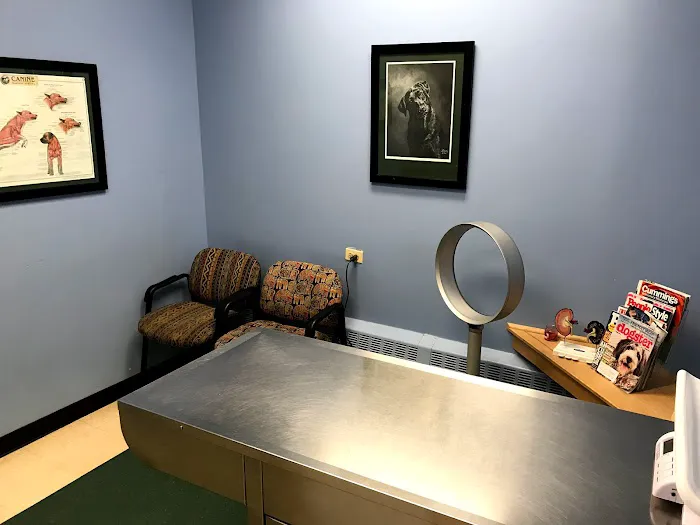Lincoln Square Animal Hospital 5