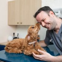 Bond Vet - West Loop ico