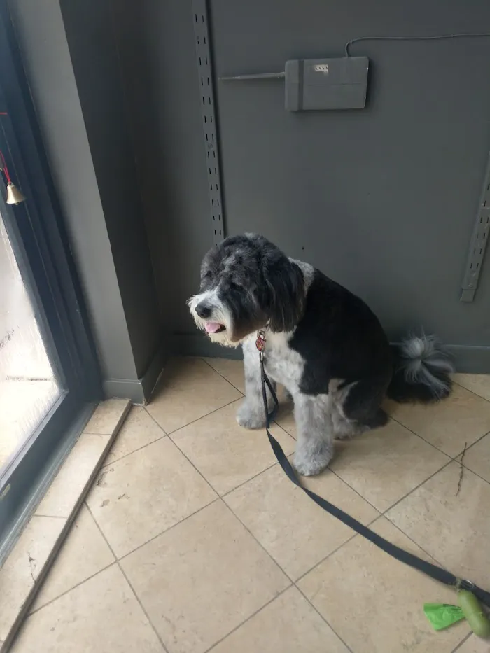 Roscoe Village Animal Hospital 12