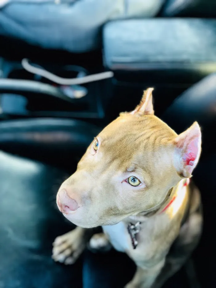 Delta Animal Hospital 12