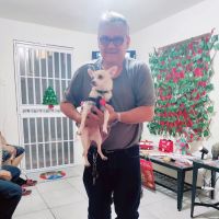 Delta Animal Hospital ico