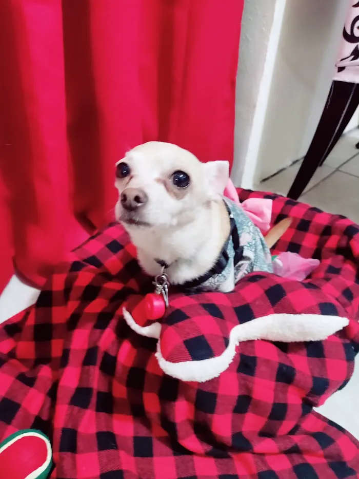 Delta Animal Hospital 12