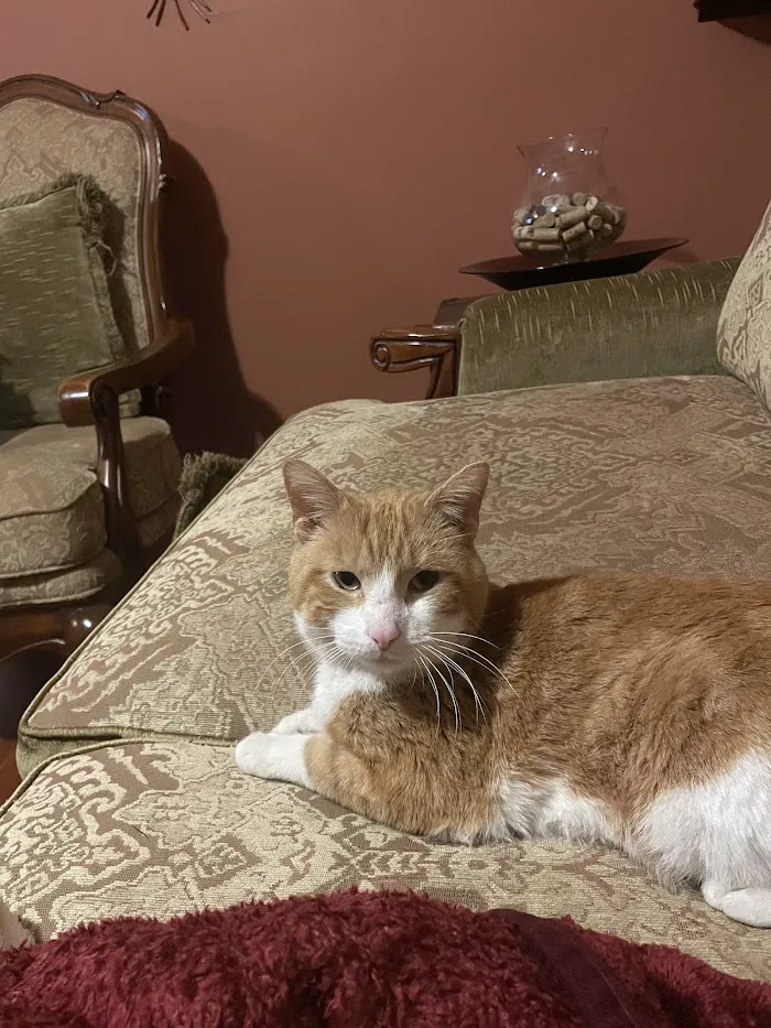 Delta Animal Hospital 12