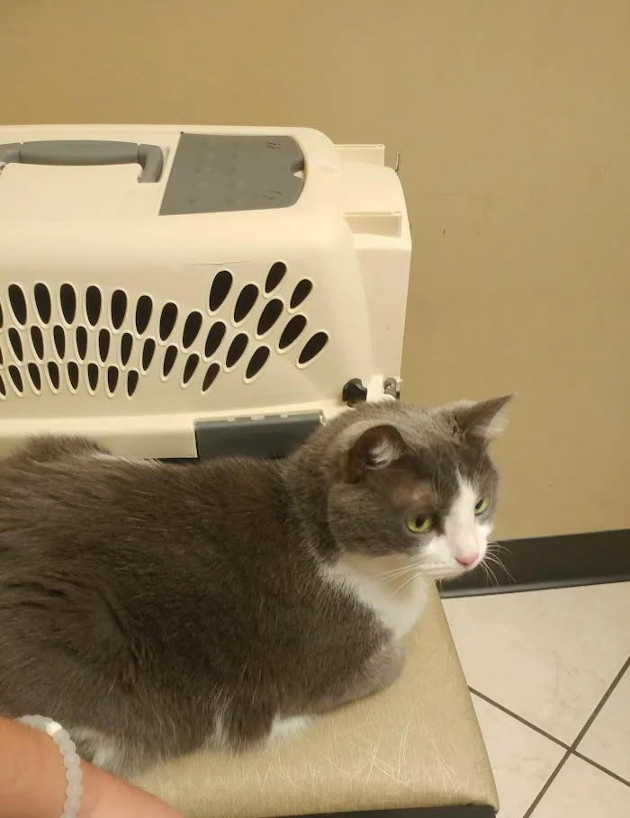 Mid North Animal Hospital 8