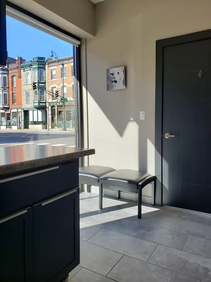 Mid North Animal Hospital 5