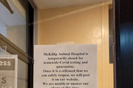 McKillip Animal Hospital