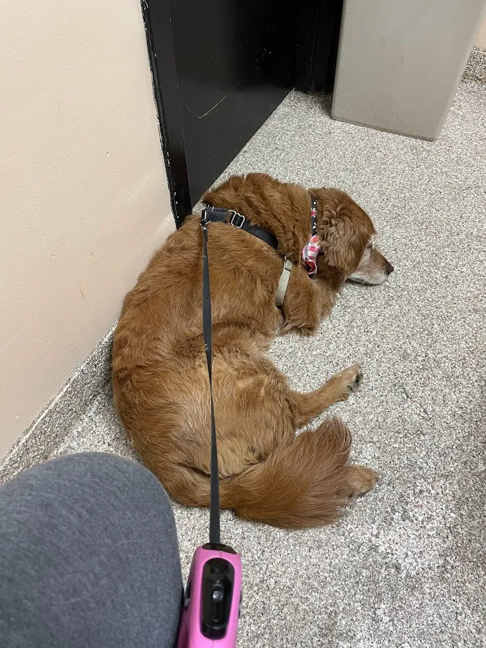 McKillip Animal Hospital 8