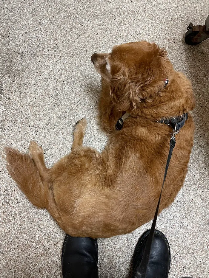 McKillip Animal Hospital 9