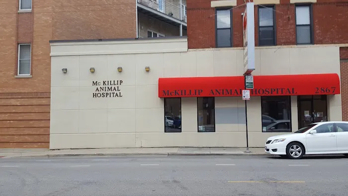 McKillip Animal Hospital 4