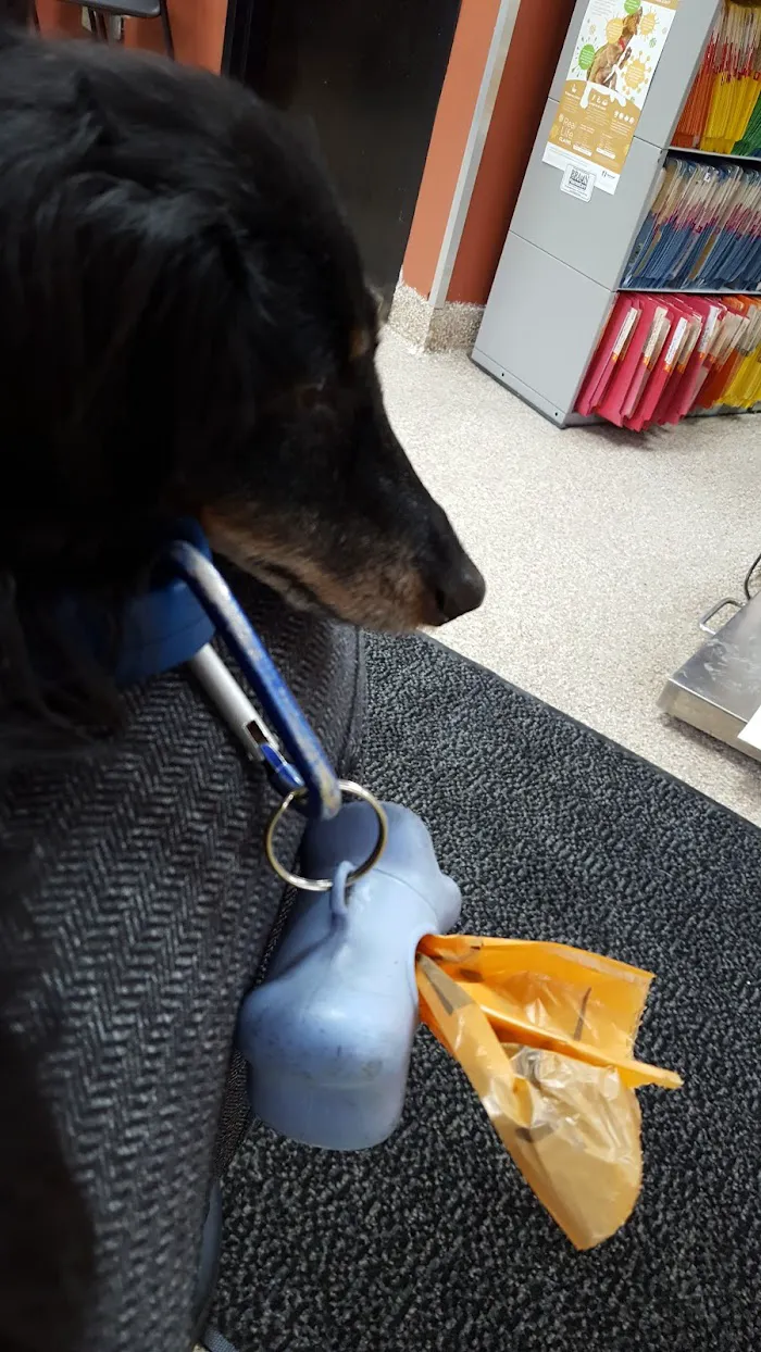 McKillip Animal Hospital 5
