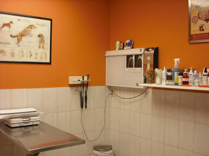 Chicago Pet Clinic 12