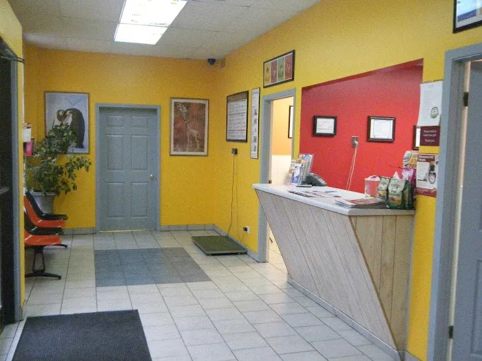 Chicago Pet Clinic 12