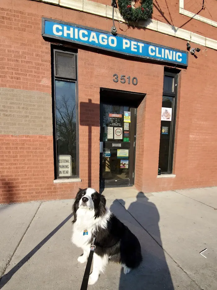 Chicago Pet Clinic 12