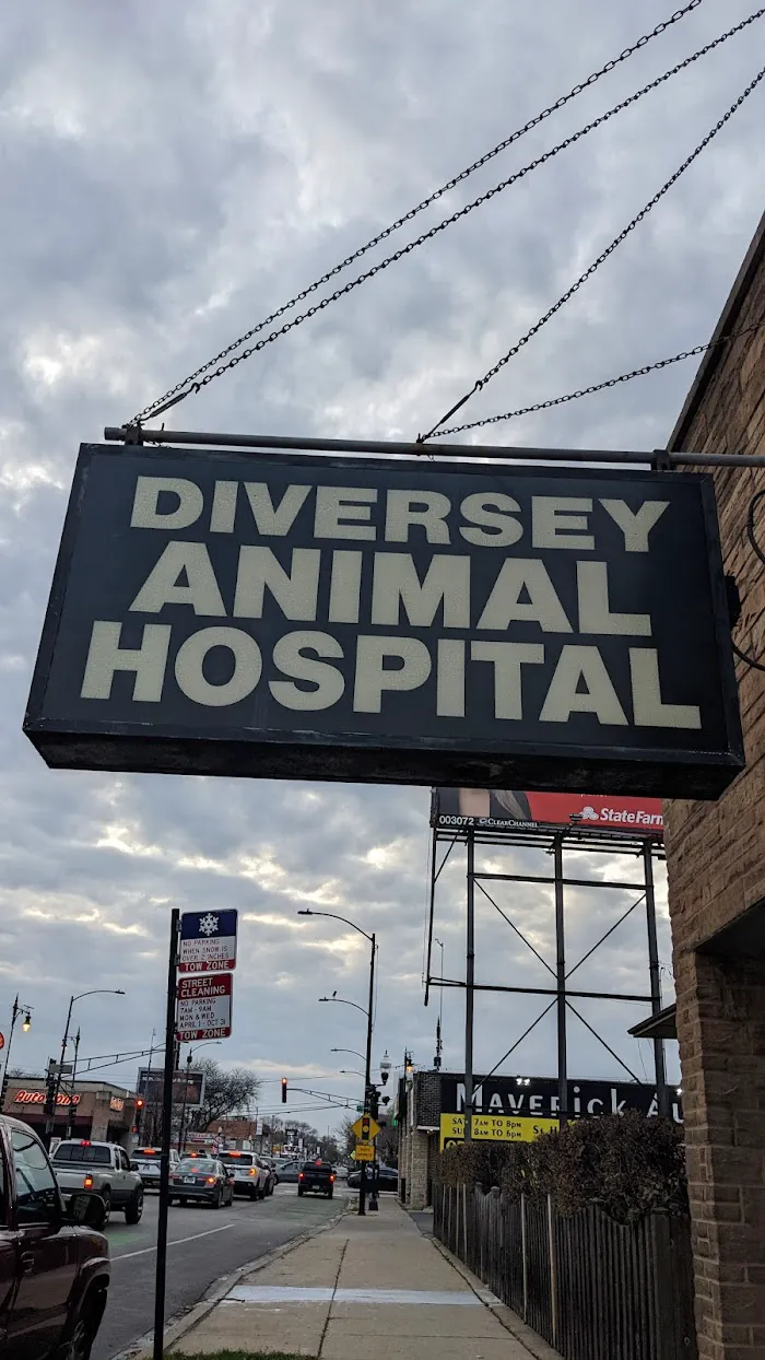Diversey Animal Hospital 12