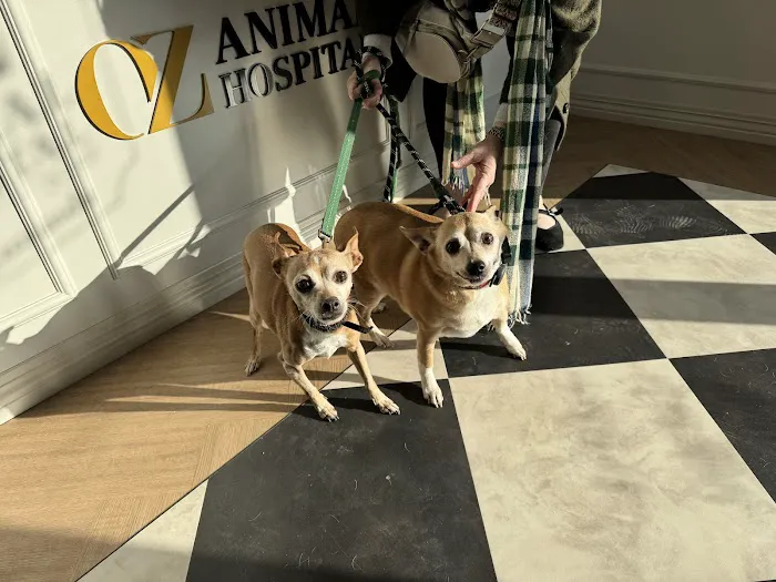 Oz Animal Hospital Sauganash 12