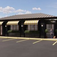 Oz Animal Hospital Sauganash ico