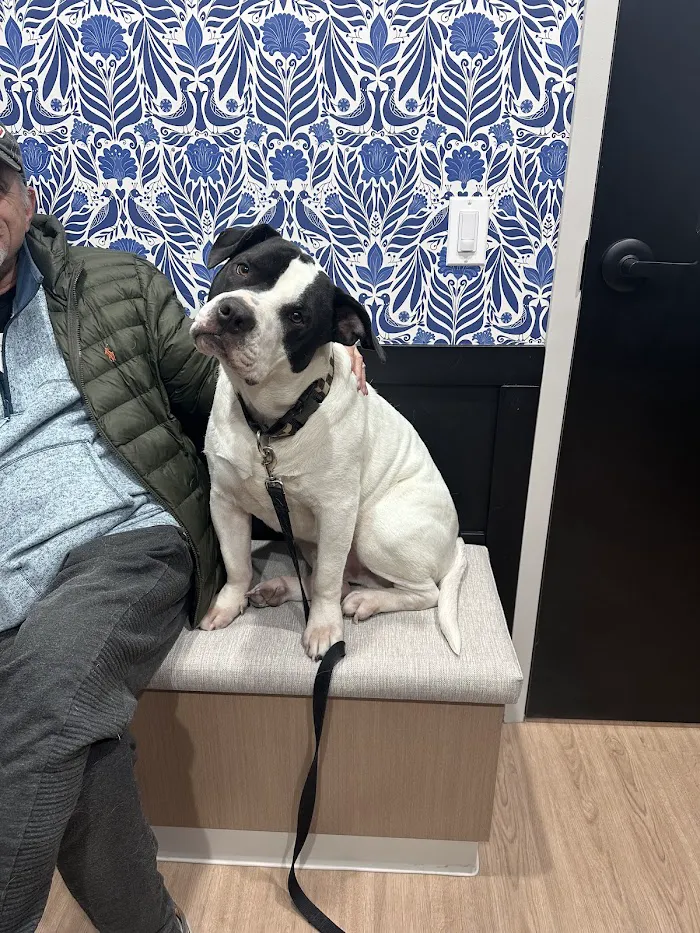 Oz Animal Hospital Sauganash 12