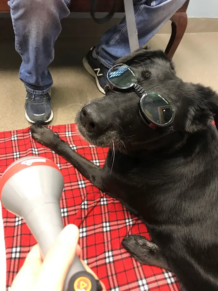 West Wrigley Animal Hospital 12