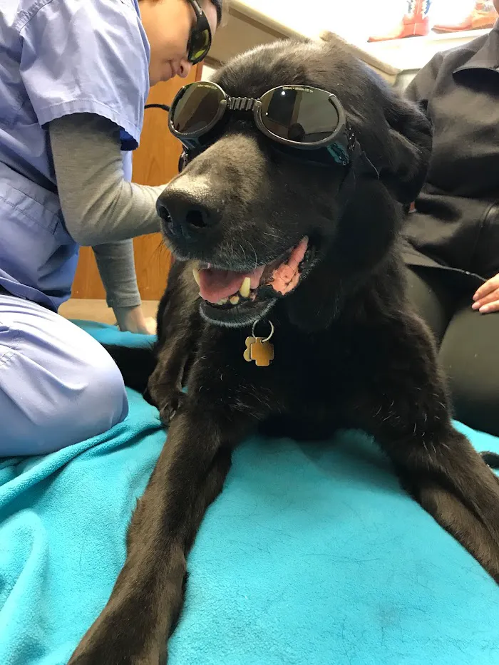 West Wrigley Animal Hospital 12