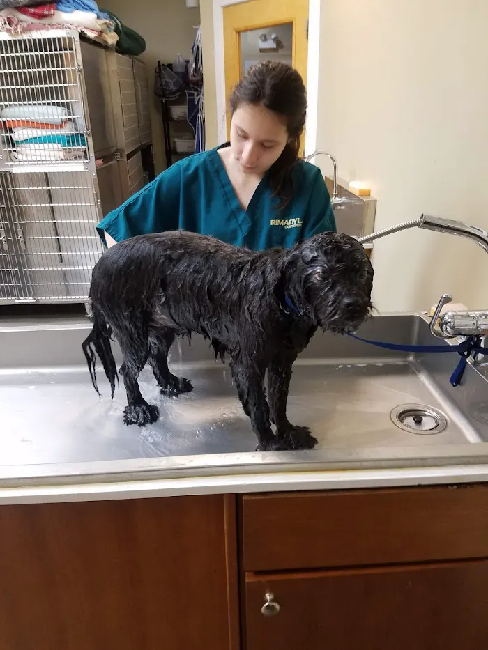 West Wrigley Animal Hospital 12