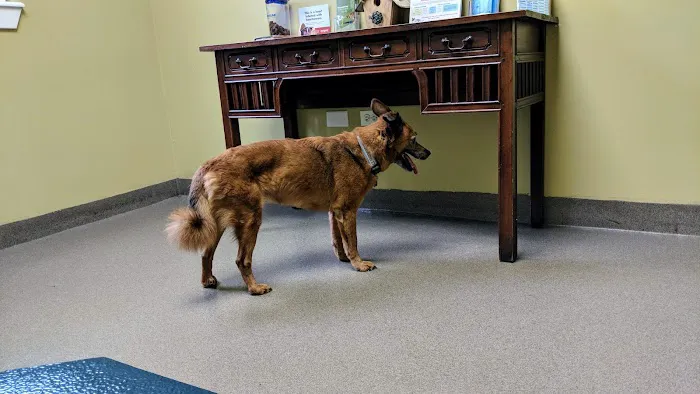 West Wrigley Animal Hospital 12